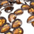 Chaton Gota Base Irregular para Colagem - loja online