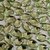 Chaton Oval Base Reta para Colagem 10x14 - loja online