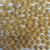 Chaton Redondo Base Reta para Colagem 10mm - loja online