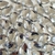 Chaton Gota Base Reta para Colagem 13x18 - loja online