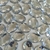 Chaton Oval Base Reta para Colagem 13x18