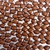 Chaton Redondo Base Reta para Colagem 10mm
