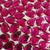 Chaton Gota Base Reta para Colagem 13x18 - comprar online