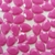 Chaton Gota Base Reta para Colagem 13x18