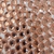 Chaton Redondo Base Reta para Colagem 10mm