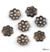 Tulipas - comprar online