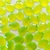 Chaton Gota Base Reta para Colagem 13x18