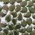 Chaton Gota Base Reta para Colagem 13x18 na internet