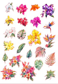 Flores Tropicais na internet