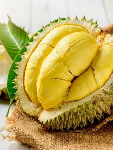 Muda de Durian - comprar online
