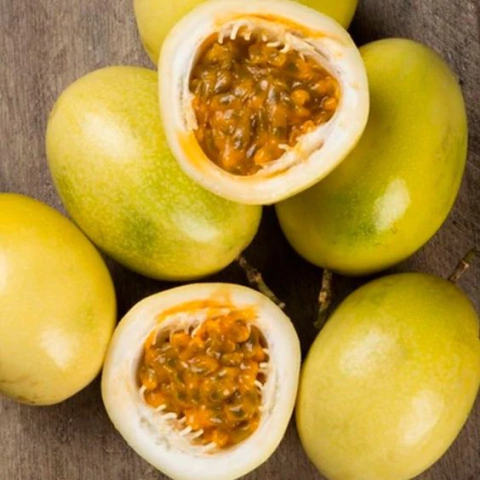 Muda Maracujá Azedo