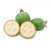 Muda Feijoa Goiaba Serrana