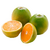 Muda Laranja Pêra Rio Enxertada