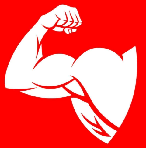 SUPLEMENTOS SPORT_NUTRITION_LP