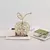 Ornamento Decorativo de Fruta - loja online
