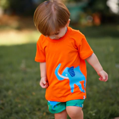 CAMISETA SEU ELEFANTE