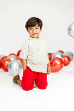 CAMISA LINHO BRISA - comprar online