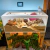 Terrário 120x50x50cm (Lateral Fechada) - comprar online
