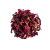 Flor de hibisco 50g - Vergari Roedores