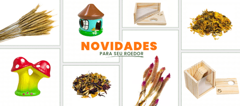 Carrossel 1