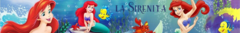 Banner de la categoría La Sirenita