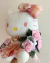 Peluche Hello Kitty en internet
