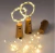 Fio de Fada de Led - 2 Metros ( Rolha ) 20 Leds