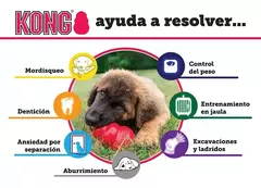 KONG PUPPY MEDIUM DE 7 A 16 KG en internet