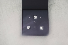 Truque de mágica Theory11 - Rhine's Dice por Matthew Mello - loja online
