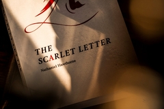 Truque de mágica Theory11 - Scarlet por Josh Zandman