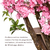Sakura - Cat Tree | árvores para gatos | torres para gatos