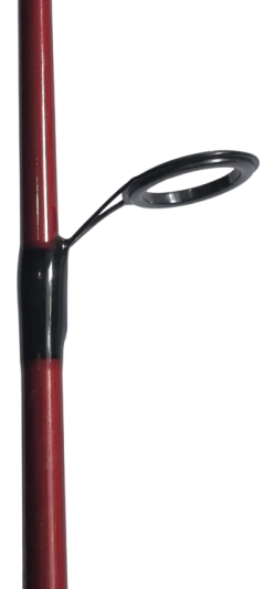 Imagen de Caña Reconquista