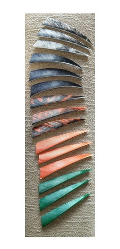 Imagen de Plumas Naturales Premium Flechas Colores Escudo 4¨ Rw X 6un