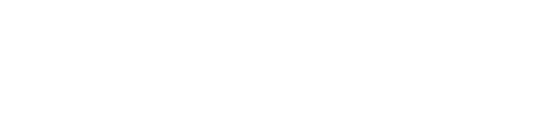 Nutrigeston