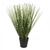 Planta Deco 201151