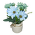 Flores en Maceta 4204245 - tienda online