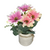 Flores en Maceta 4204245 en internet