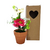 Flores en Maceta 4204246 - comprar online
