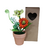Flores en Maceta 4204246 en internet