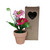 Flores en Maceta 4204246 - Davila Home