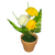 Flores en Maceta 4204247 en internet