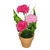 Flores en Maceta 4204247 - comprar online