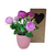 Flores en Maceta Deco 4204248