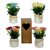 Flores en Maceta 4204245