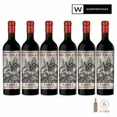 Arcángel Sariel Cabernet Sauvignon - Malbec (6 botellas x 750 cc) - WINEMENDOZA | Comprar vino online en Argentina - Vinoteca online - Vinos Premium