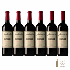 Seis botellas de vino Bianchi Particular Cabernet Sauvignon de 750cc cada una.