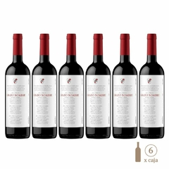 Seis botellas de vino tinto Bianchi Grato Nombre Malbec, cada una de 750cc, con etiqueta distintiva.