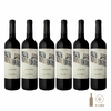 Seis botellas del vino Casarena Sinergy Owen Vineyard Blend de 750cc cada una, con etiquetas distintivas.