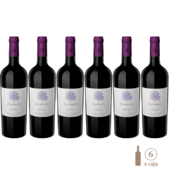 Catalpa Malbec (6 botellas x 750cc)