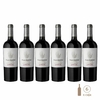 Seis botellas de vino tinto Cinco Sentidos Reserva Cabernet Sauvignon.